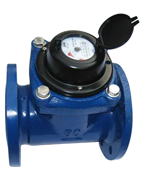 Removable Element Woltman - Cold Hot Water Meter