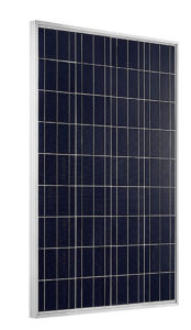 Manufacturer of Solar Panel in Middle East